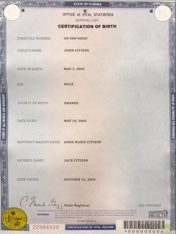 Modèle de certificat de naissance de l'État de Floride aux États Unis au format PSD